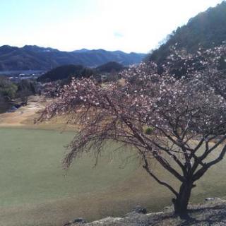 緊急募集!!ゴルフラウンド3/9土曜日