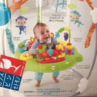 レインフォレスト ジャンパルーⅡの画像