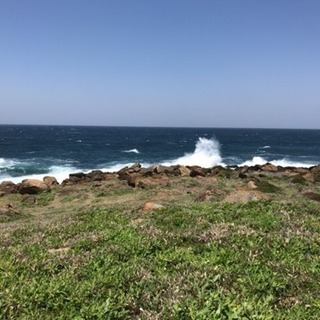 釣り友募集します🎣初心者も大歓迎