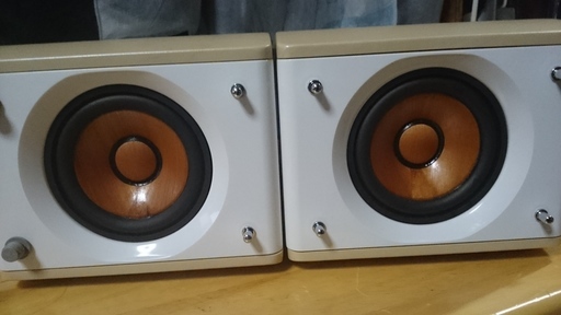 ウッドコーンスピーカー JVC SP-EXS3 極美品　一切不具合無し！