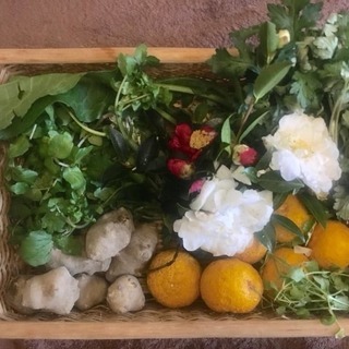 薬草料理マイスター講座in柳川市　福岡の画像