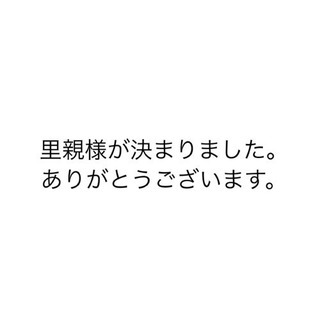 里親様が決まりました。連絡に使用するため、投稿はしばらく残させて...