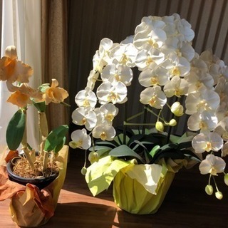 造花