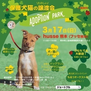 保護犬猫譲渡会「Adoption Park」