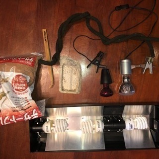 GEX グラステラリウム 爬虫類ケージ  の画像