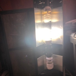 GEX グラステラリウム 爬虫類ケージ  の画像