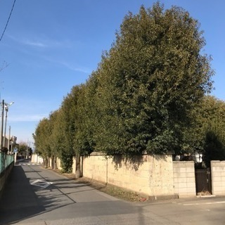 植木作業   時給 1250円 日払いの画像