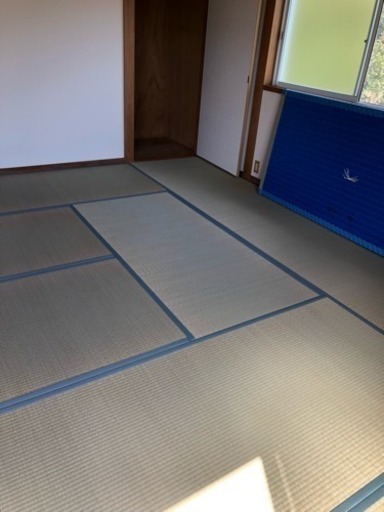 江戸間（178×89）畳 展示品 新品未使用 10畳分