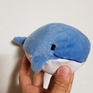 くじらのぬいぐるみ