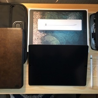 Ipad pro 12.9 第2世代  256gb Wifi+cellulerモデル 【SIM解除済み】