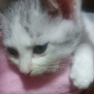 生後３ヶ月～４ヶ月の元気な男の子