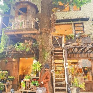 都内のカフェ - 世田谷区
