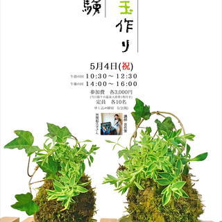 【大小2つの親子のような苔玉づくり】苔玉作り体験【湯来交流体験セ...
