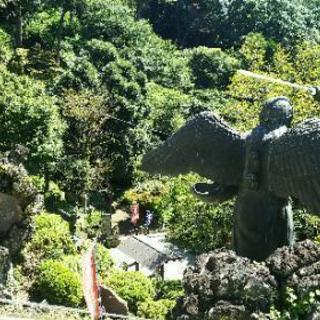 ３月１７日（日）鎌倉御朱印巡り - メンバー募集