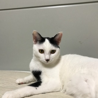 里親さん募集中です。