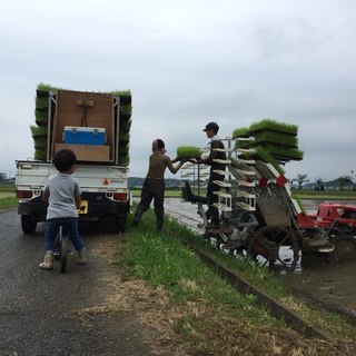 無農薬栽培の水田の草刈り作業、その他作業を募集します。