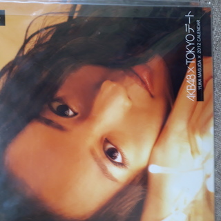 増田 有華 2012 TOKYOデートカレンダー CL-438 ...