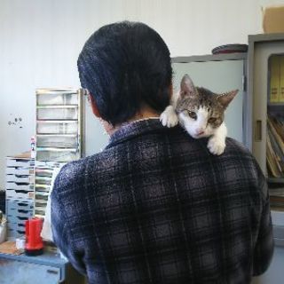 抱っこが大好きな甘えん坊  1歳ちょっと