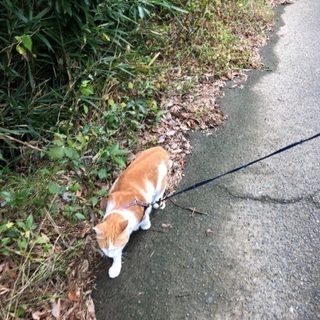 見つかりました‼︎   
