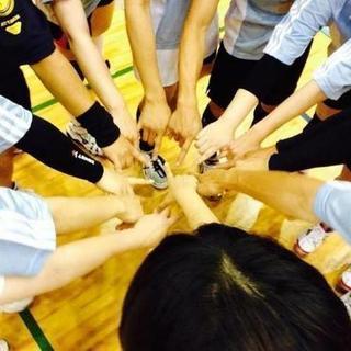 ★☆混合バレーメンバー募集中☆★