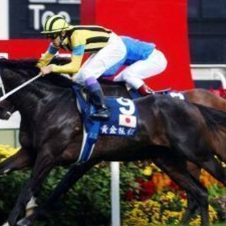 競馬サークル