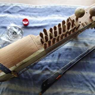 サーランギーお譲り致しますの画像