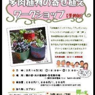 多肉植物寄せ植え教室