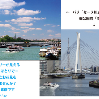 3月31日(日)隅田川・スカイツリー・桜を眺めながら… 「クラージュ お花見&ワイン会」IN 月島 - パーティー