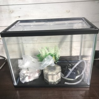 水槽セット
