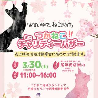 尼崎市どうぶつ愛護推進員◇つかねこバザー&地域猫の啓発ミニパネル...