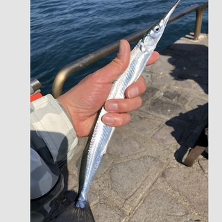 伊良湖〜浜名湖に釣りに行こう🎣