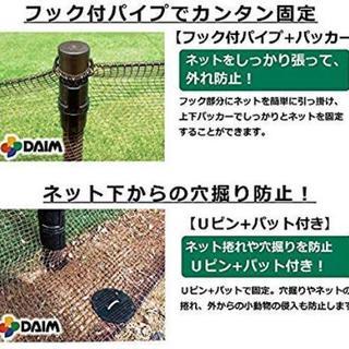 ドッグラン の画像