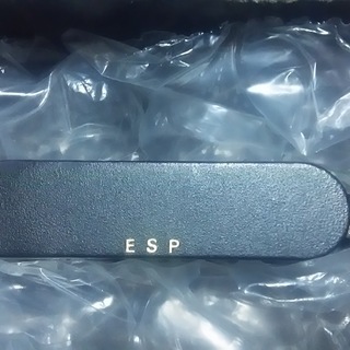 ESP　シングルPU　DIR EN GREY Dieモデルの画像