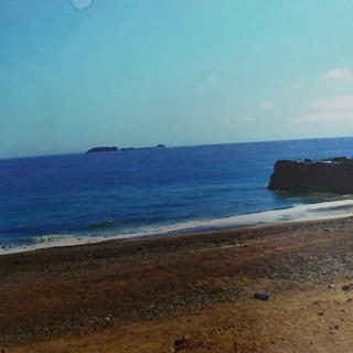 成約しました。海と緑豊かな自然が多い伊勢志摩、目前は海辺になって...