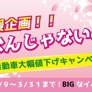 これ、本当なんです!!!!　誰でもローンで車が買えます！【くるまのミツクニ練馬店】の画像