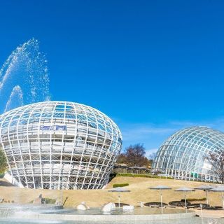 【出店者募集】4/27〜5/6　笛吹川フルーツ公園イベント