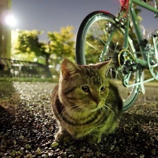 40代 同性の友達が欲しい プロフも見てください