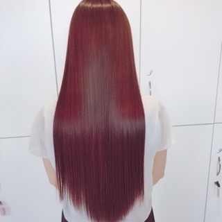 正社員 アシ162000円〜スタ230000円〜の画像