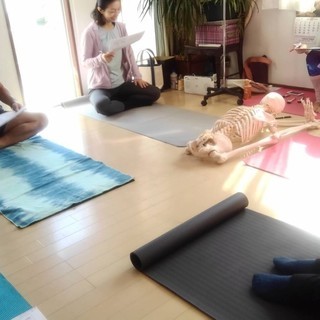 ヨガレッスン生徒募集！初心者〜中級者までクラスあり　の画像