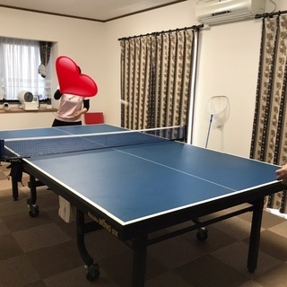 アットホームな子供専用卓球教室の画像
