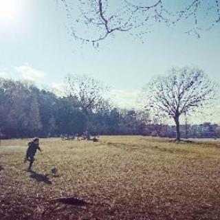 パークヨガ
in平和公園～自然のエネルギーと
五感を感じよう～の画像