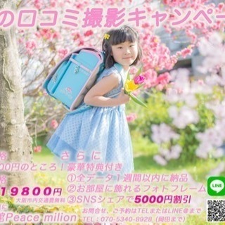 【 春のロケーション撮影キャンペーン 】 ﻿の画像