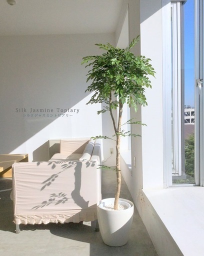 【直接取引希望】観葉植物 フェイクグリーン インテリア シルクジャスミントピアリー 1.5m