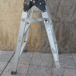 長谷川 アルミ兼用脚立 RC-09