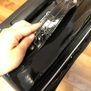 キャリーバッグの画像
