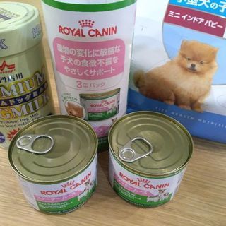 子犬用缶詰[３月末までおまけ付]