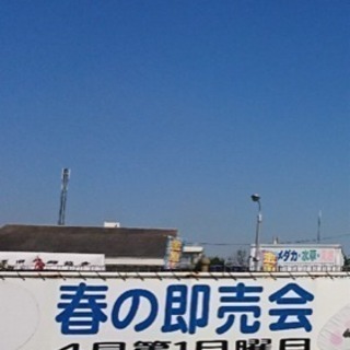 4月7日埼玉県水産流通センター即売会