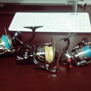 ホタルイカを取りに行きませんか？ - 友達