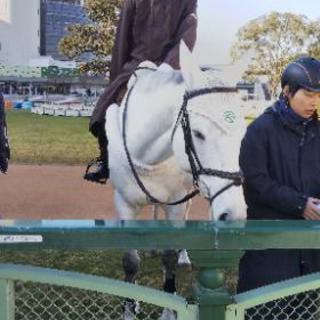 競馬友達募集