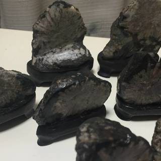 ※現在発掘不可　特別天然記念物　岐阜県　根尾谷産　菊花石　　天然石　台座付き　２０個セットの画像